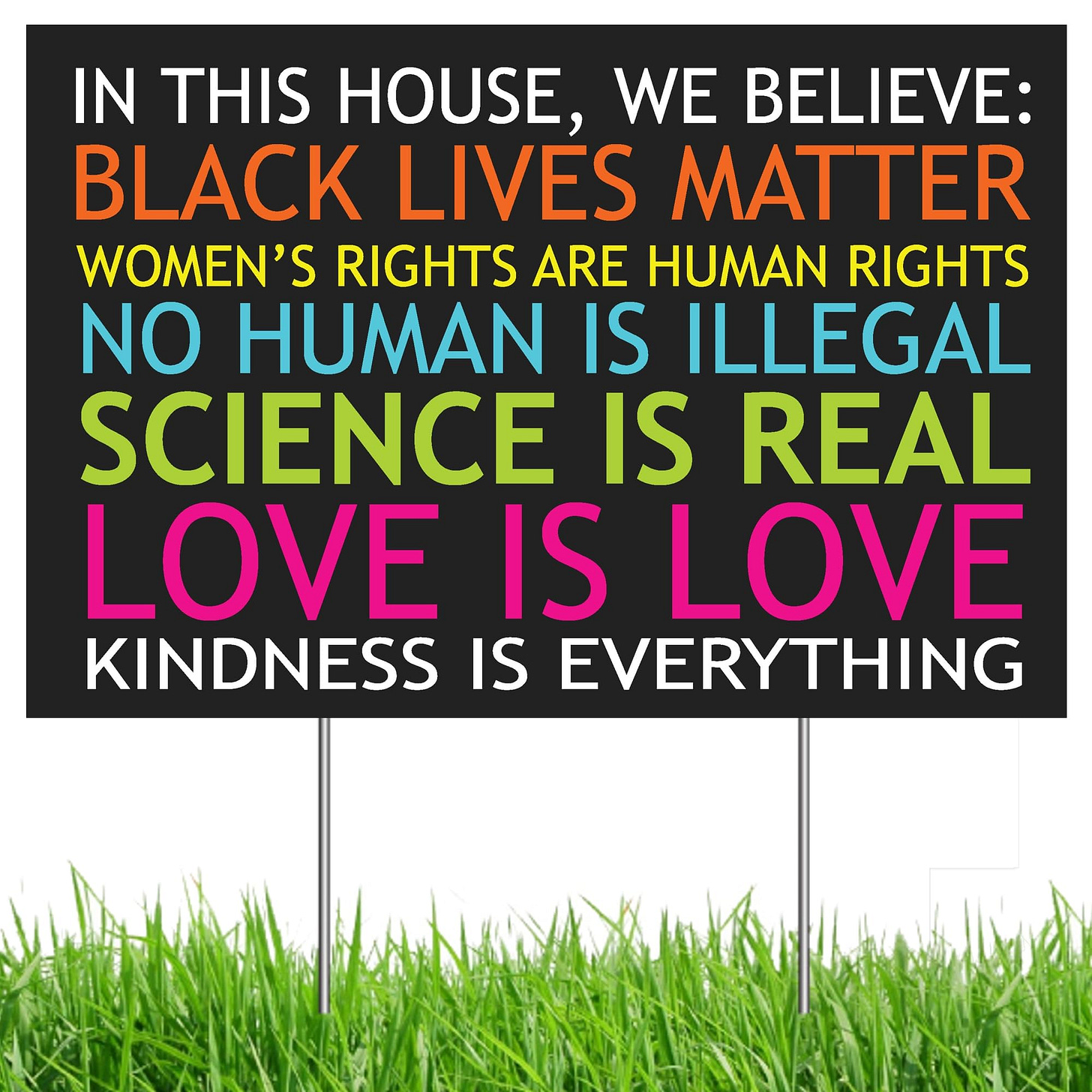 Amazon.com : Black Lives Matter Yard Sign, In This House We Believe Yard  Sign, Love is Love - 12" x 18" Double Sided, Corrugated Plastic with 15" H  Metal Stake - Multi-Colored,