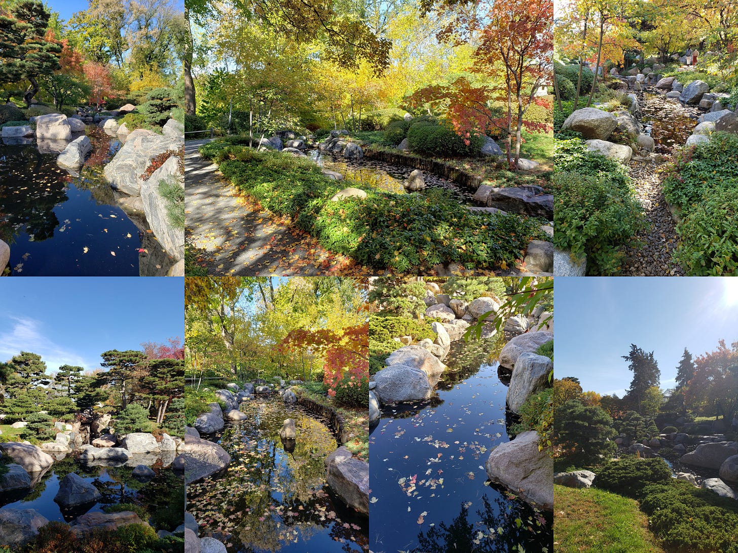 A seven photo collage of various parts of the water features in the garden with foliage in a variety of fall colors. A seven photo collage of various parts of the water features in the garden with foliage in a variety of fall colors.