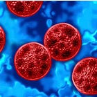 More intestinal cases reported