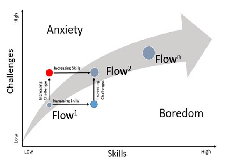A diagram of a flow of skills