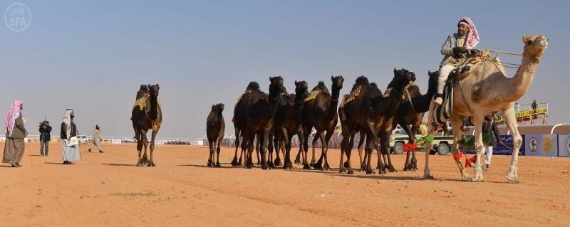 الصورة من موقع وكالة الأنباس السعودية واس