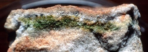 10 Alien-Like Microbes you won't believe Exist