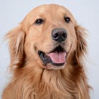 Can Death Be Good for You?