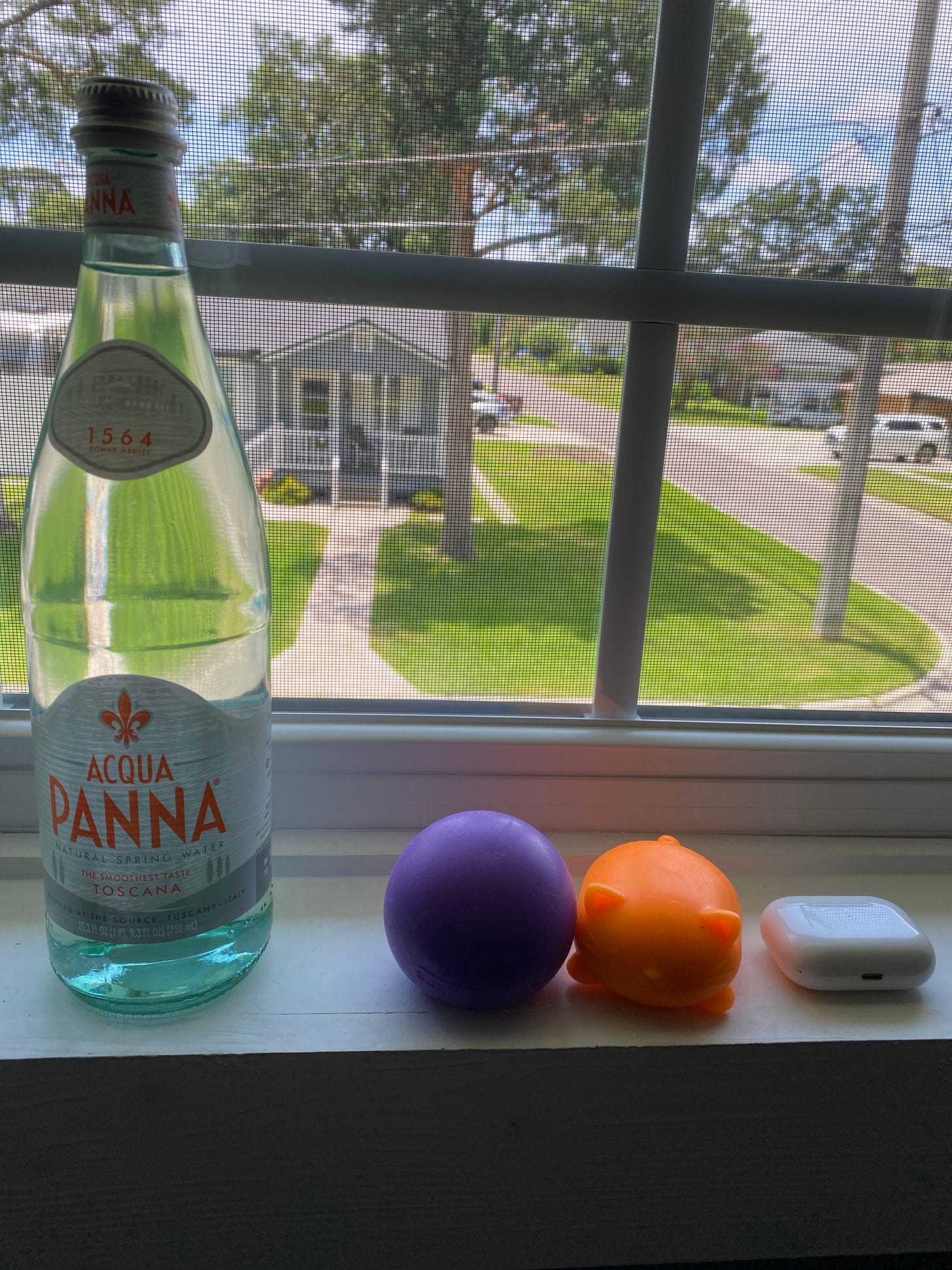 Image of view out writer's window, with a bottle of water, two stim toys, and AirPods stacked on the sill. Image of view out writer's window, with a bottle of water, two stim toys, and AirPods stacked on the sill.