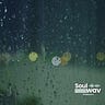 Soul Wav