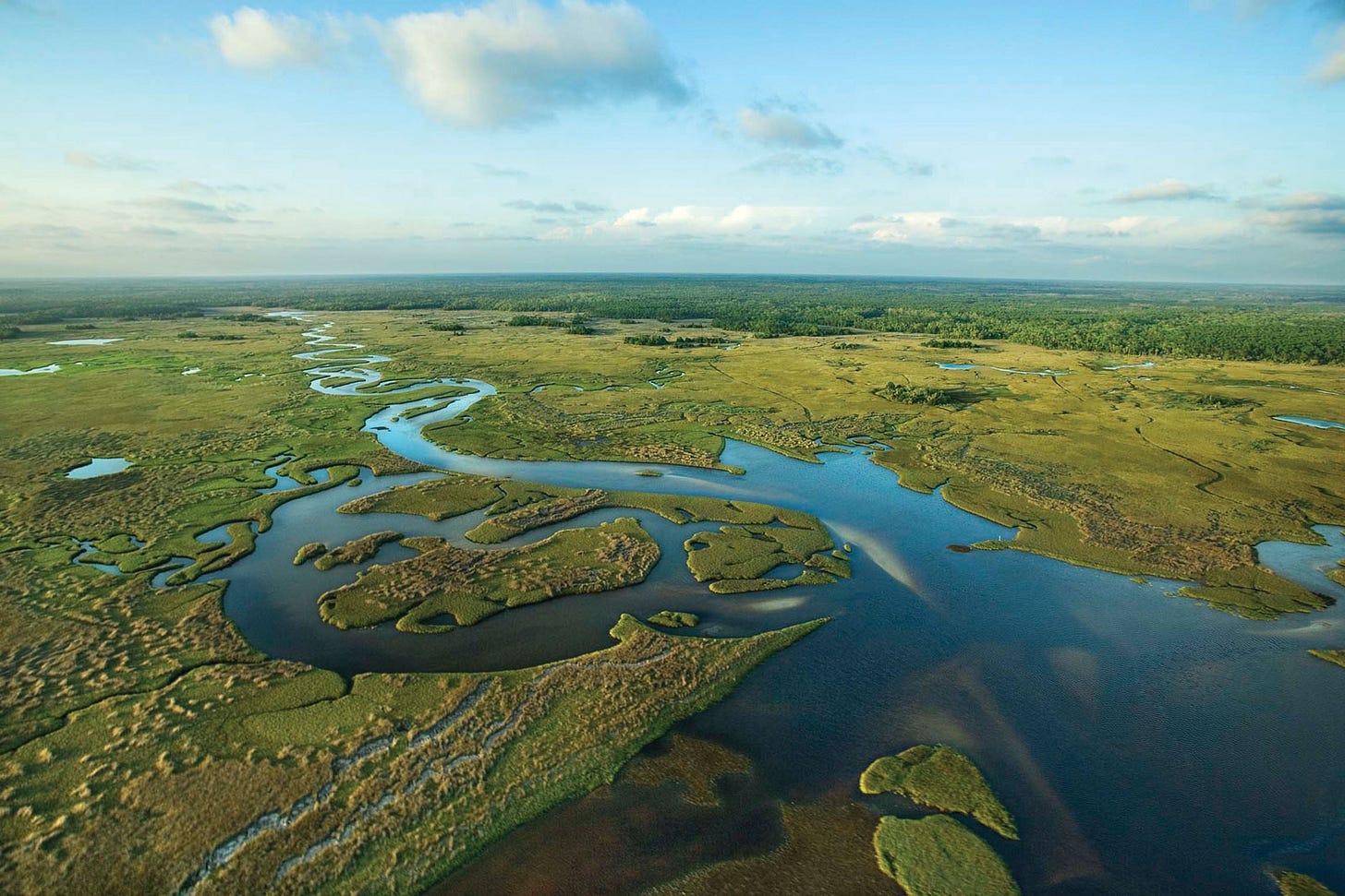 Image result for everglades