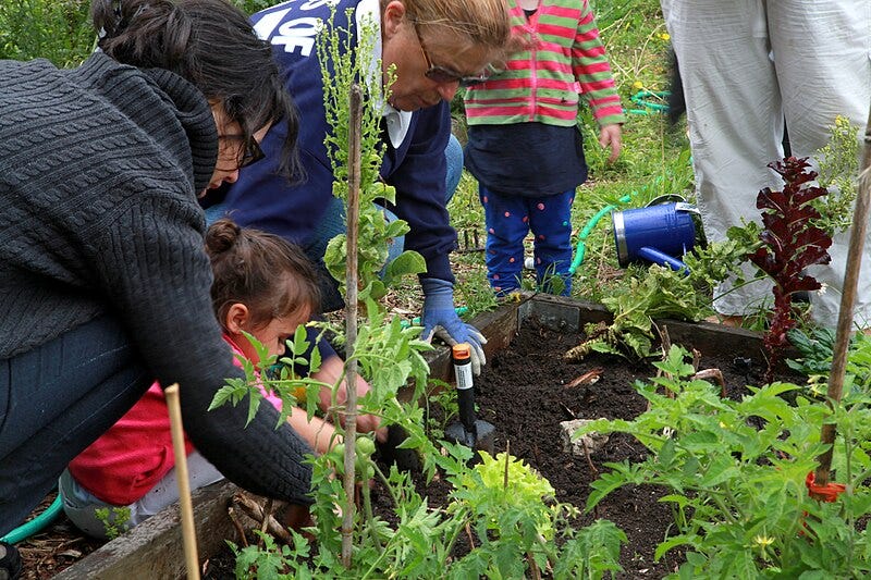 A group of people working in a garden

Description automatically generated