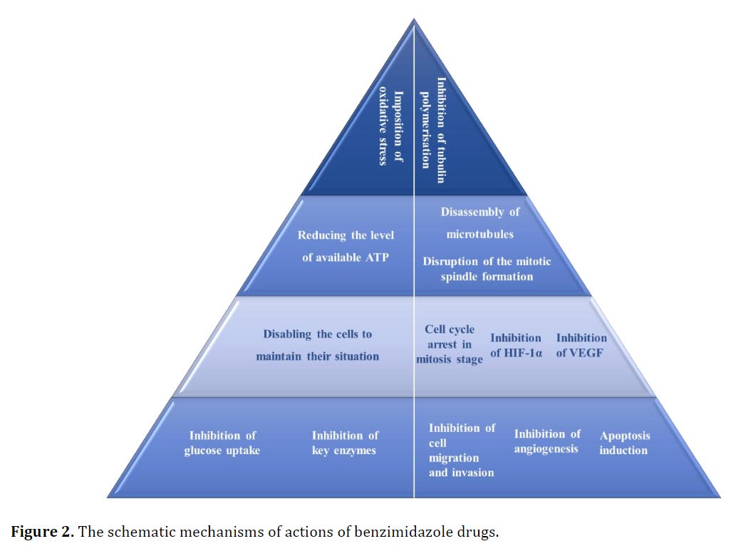 FENBENDAZOLE and CANCER - at least 12 Anti-Cancer mechanisms of action