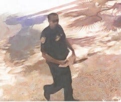 Lights Camera Perjury: Judge Sarala Nagala exposes Christopher Ambrose’s false service claim against journalist Frank Parlato.