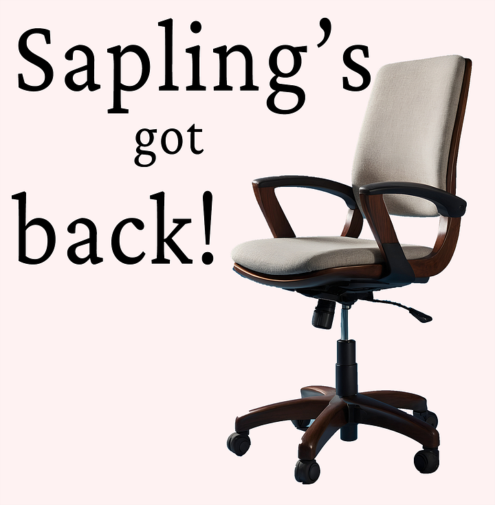 A series of Chairs and Objectification Messages overlaid over them