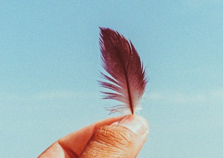 person holding black feather under blue sky during daytime person holding black feather under blue sky during daytime