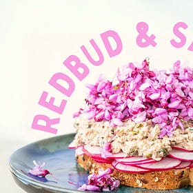 Redbud & Sardines