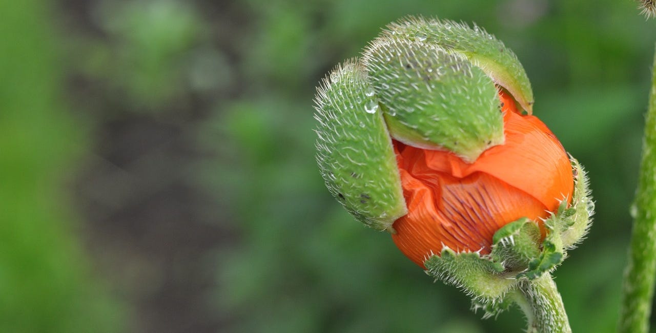 Want to make the most difference? 10 opportunities ripe for changemaking