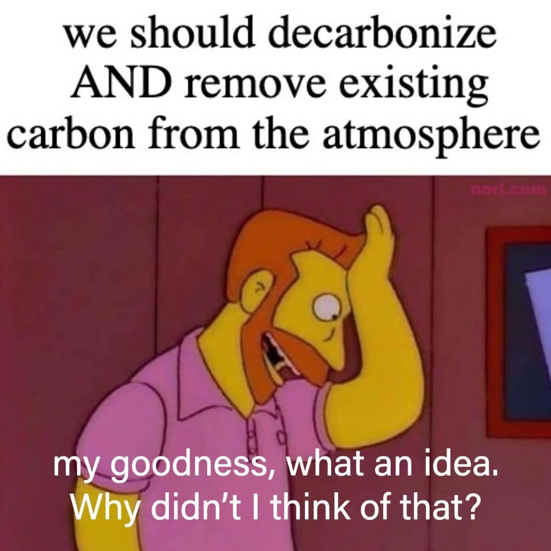 Text: "we should decarbonize AND remove existing carbon from the atmosphere." Below, the Simpsons' Hank Scorpio clutching his head: "my goodness, what an idea. Why didn't I think of that?"