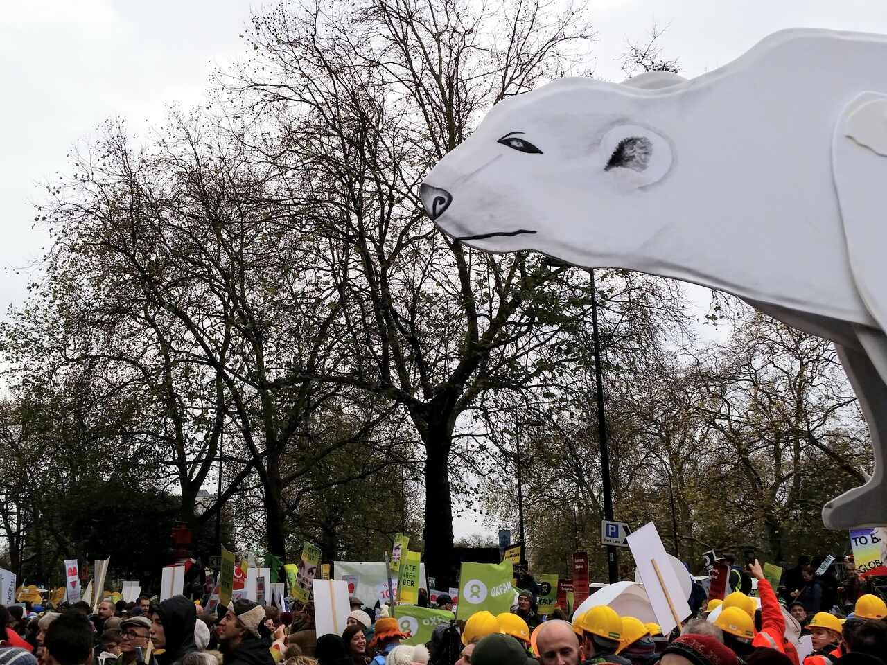 Climate change protest march in London, November 2015