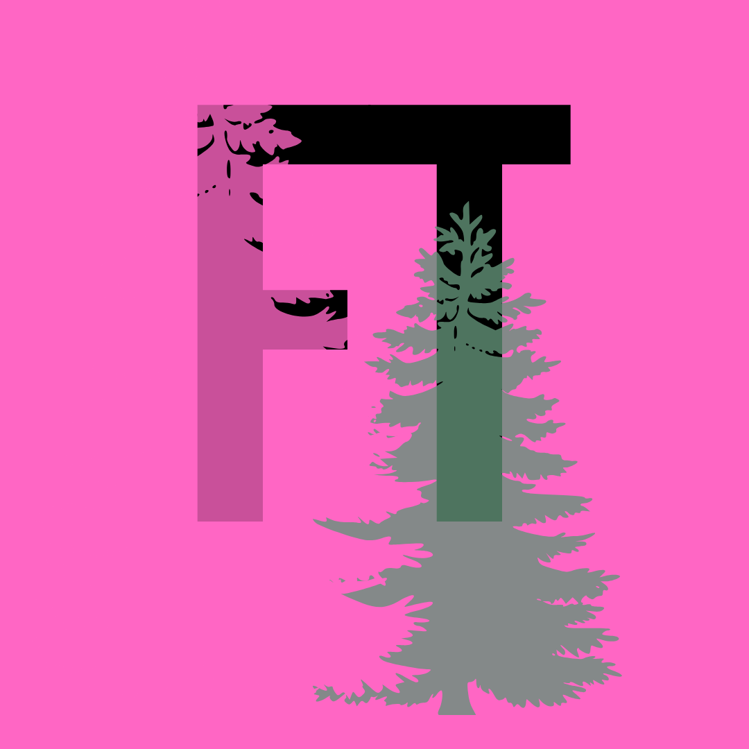 FIELD TRIP: a reading series