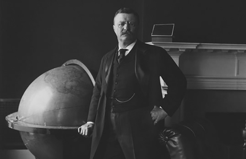 Image result for conservative roosevelt
