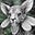 NRMR's avatar