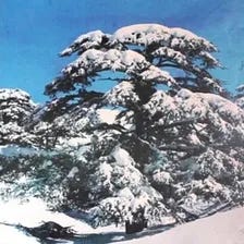 Lebanese Without Frontiers