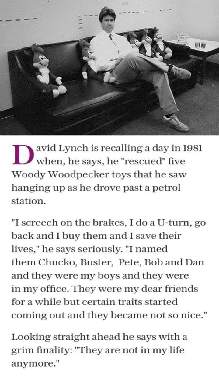 A photo of David Lynch with five Woody Woodpecker dolls, above an article about him buying the dolls at a gas station, naming them Chucko, Buster, Pete, Bob, and Dan, and no longer having them in his life because “certain traits started coming out and they became not so nice.” Yes, really. A photo of David Lynch with five Woody Woodpecker dolls, above an article about him buying the dolls at a gas station, naming them Chucko, Buster, Pete, Bob, and Dan, and no longer having them in his life because “certain traits started coming out and they became not so nice.” Yes, really.
