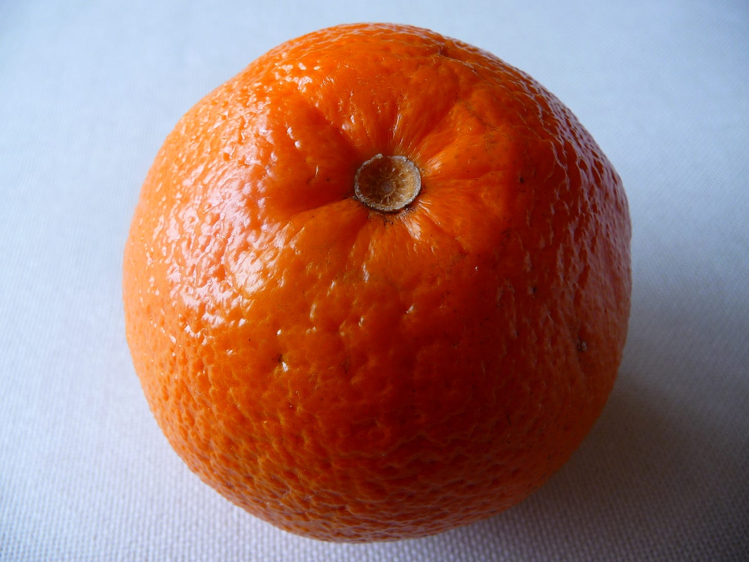 A close up photograph of an orange. A close up photograph of an orange.