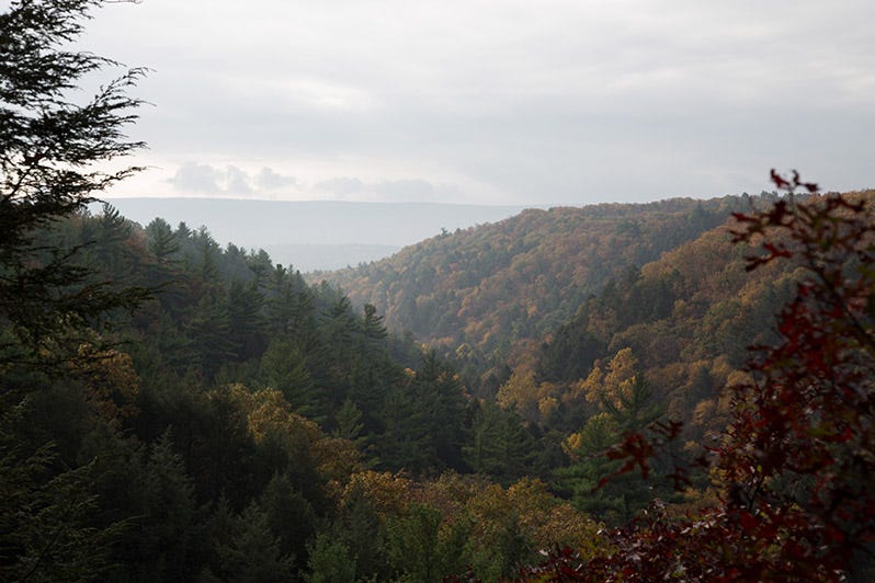How to Boost Autumn Colors in Lightroom