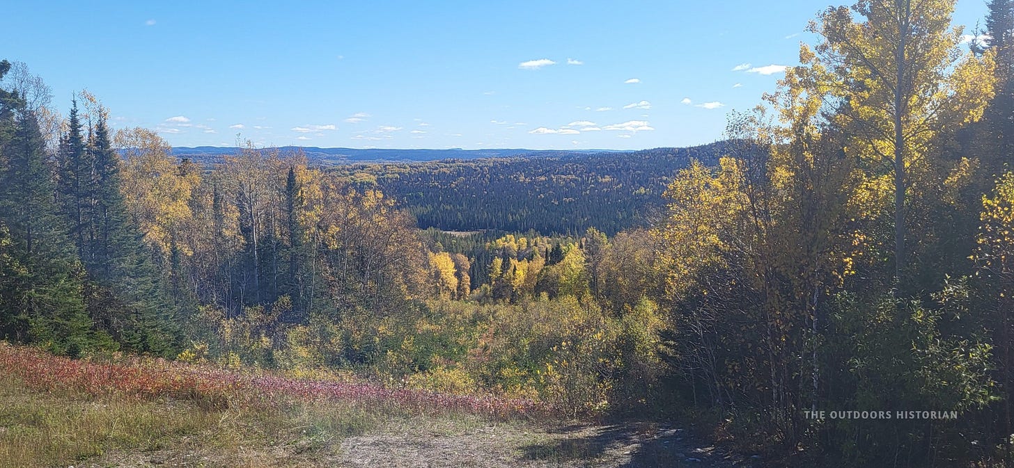 A high-angle view looking out over a vast, rolling landscape. The dense forest is a vibrant mix of dark evergreen conifers and bright orange and yellow autumn foliage under a cloudy sky.
