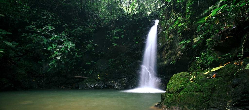 WILD WATERFALLS