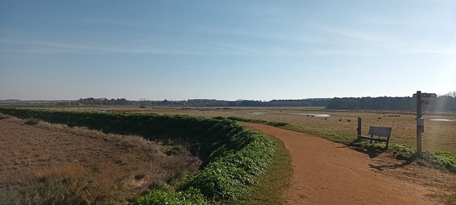 Coastal path on the top of sea defences, curving away to the left, marsh and blue sky behind