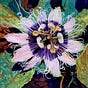 Rosalie Botanicals's avatar