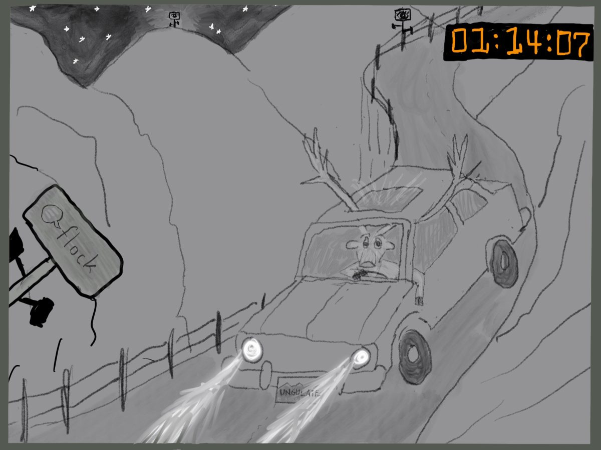 A cartoon drawing of a Flock camera observing an elk driving a car on a mountain road. Its antlers are sticking out of the sunroof and the drivers side window A cartoon drawing of a Flock camera observing an elk driving a car on a mountain road. Its antlers are sticking out of the sunroof and the drivers side window