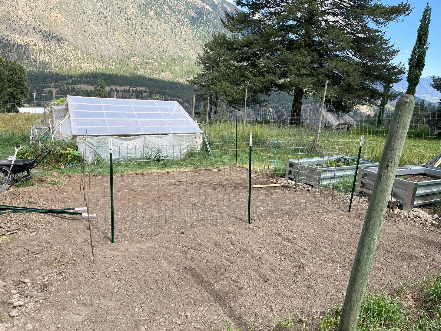 a 16 foot trellis panel set on 3 green t-posts