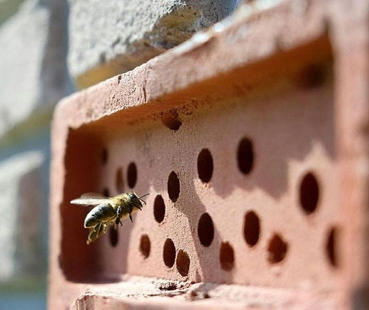 Bee Brick | Humble Bee