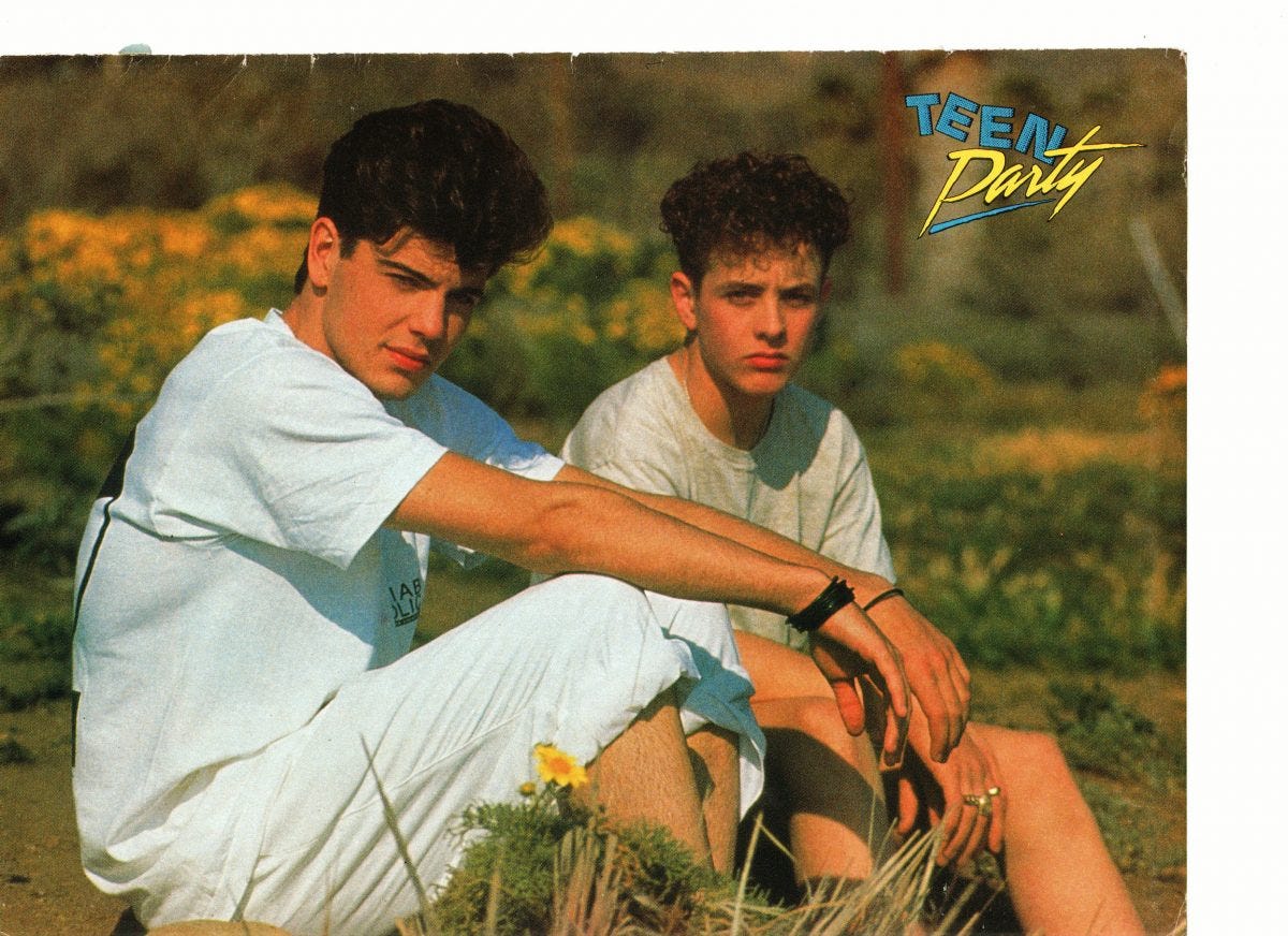 Joey Mcintyre Jordan Knight teen magazine pinup clipping in the grass New  Kids on the block - Teen Stars Forever Pinups