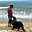 Shilpam Sood's avatar