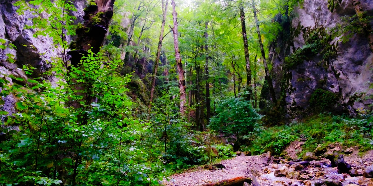 The Perils of Gainful Employment