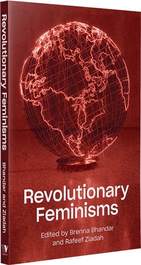 Revolutionary Feminisms