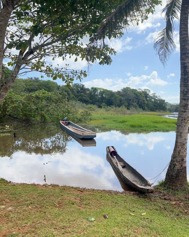 20260221-PanamaCell-9.jpg 20260221-PanamaCell-9.jpg