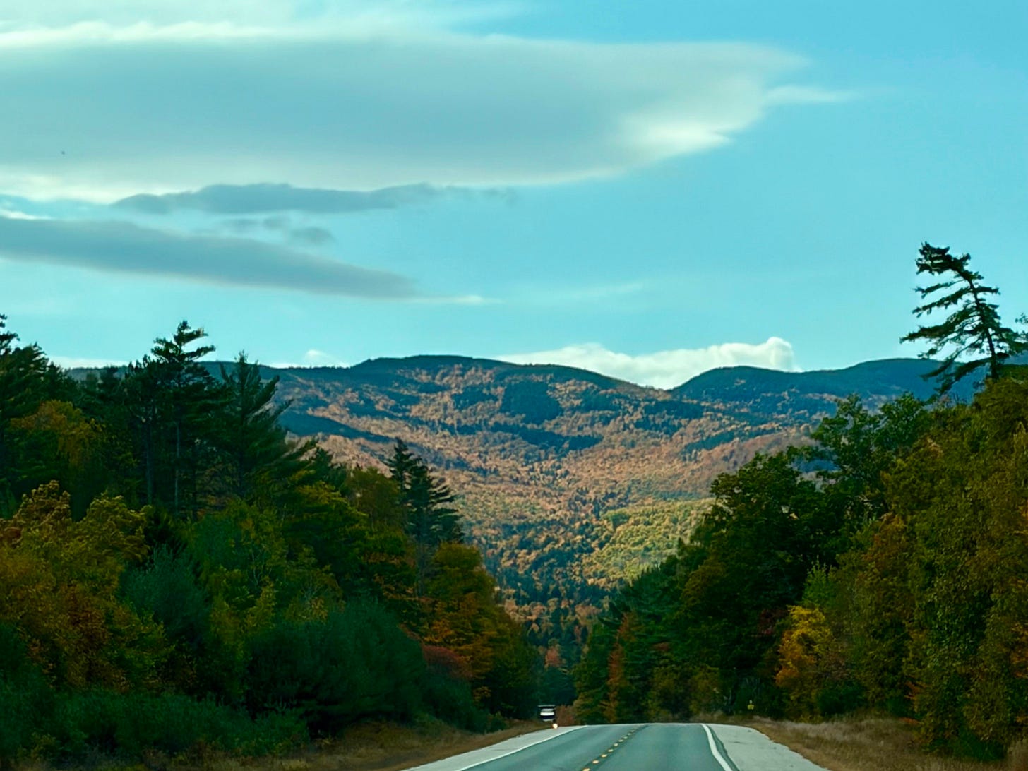 views of hillsides of yellow and green