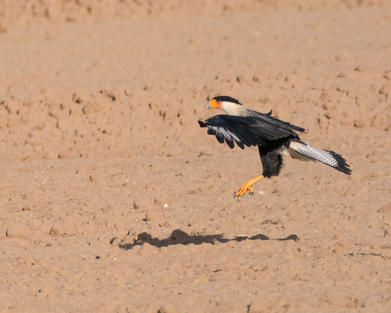 20251204-Manville-134-Edit.jpg 20251204-Manville-134-Edit.jpg