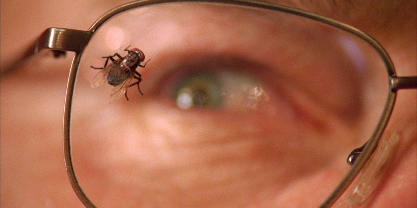 A fly on Walt's glasses in Breaking Bad