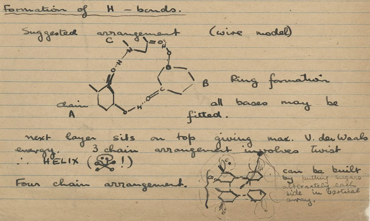 Rosalind Franklin et la découverte de l’ADN, Structure de l’ADN et double hélice, Photo 51 et cristallographie aux rayons X, Rôle des femmes dans la science, Histoire de la génétique moderne, Contribution ignorée de Rosalind Franklin