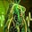 Cellularly Erased's avatar