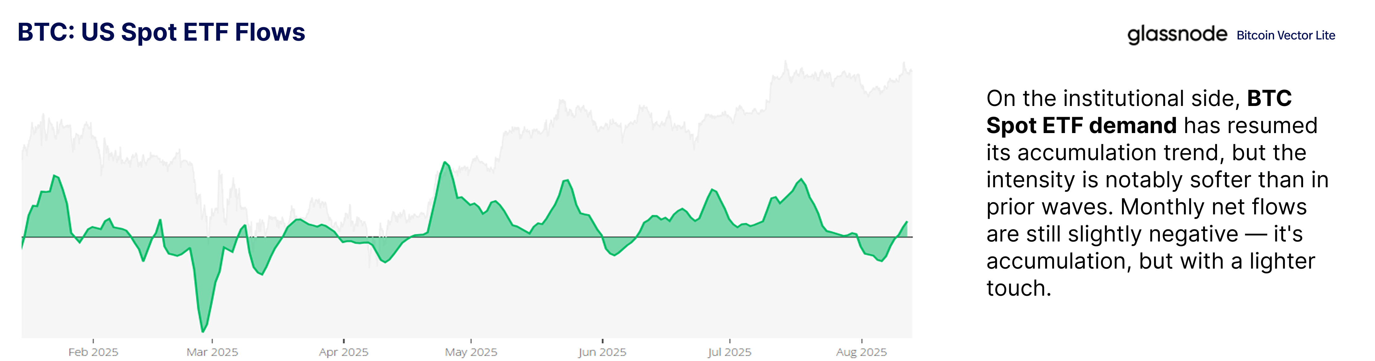 BVL008: The speculative rally - Bitcoin Vector Lite