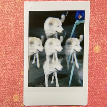instax lomo'instant automat