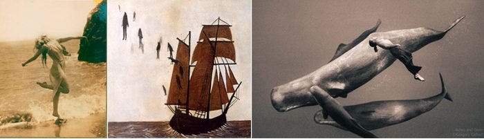 salt&storm_inspiration3