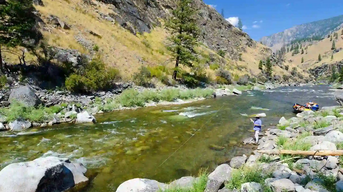 Angler Fly Fishing Big Creek Area
