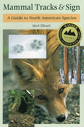 A book cover of a fox

AI-generated content may be incorrect.