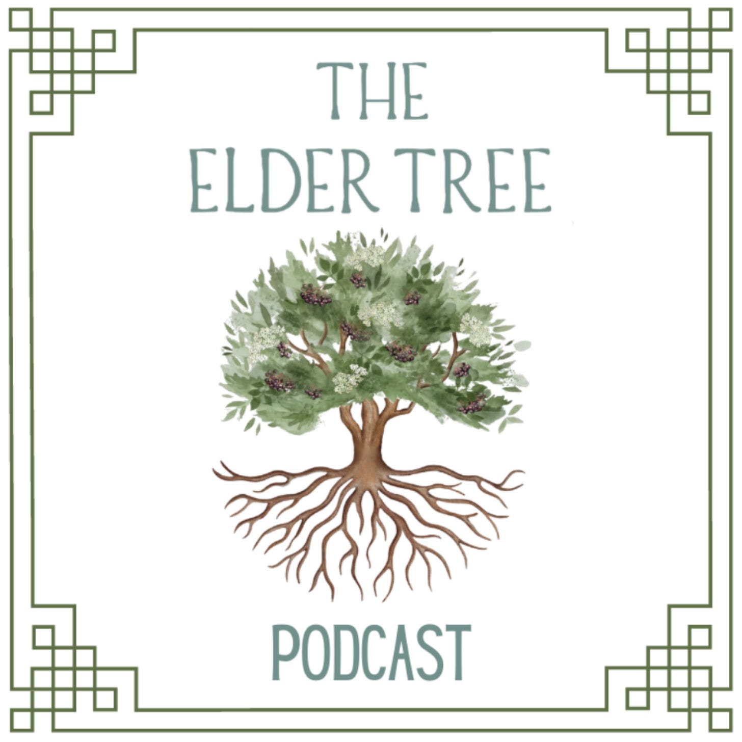 Logo of an elder tree for the Australian podcast