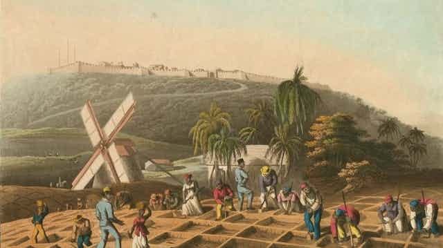 An artist's impression of slaves working a sugar plantation in Barbados. An artist's impression of slaves working a sugar plantation in Barbados.